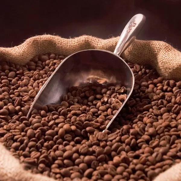 Chappi Arabica Coffee Powder